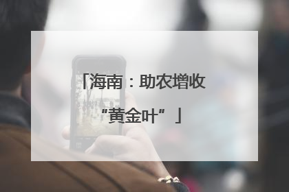 海南：助农增收 “黄金叶”